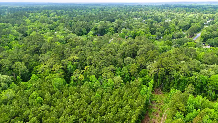 000 Fm 1409, Dayton, TX 77535 - #3