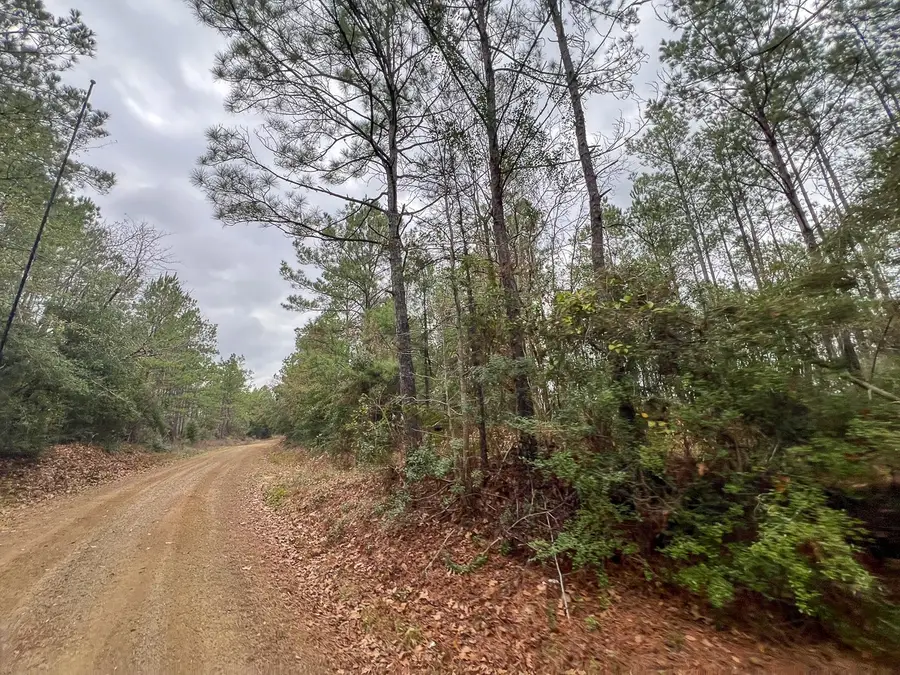 T-3 County Road 1019, Newton, TX 75966 - #2