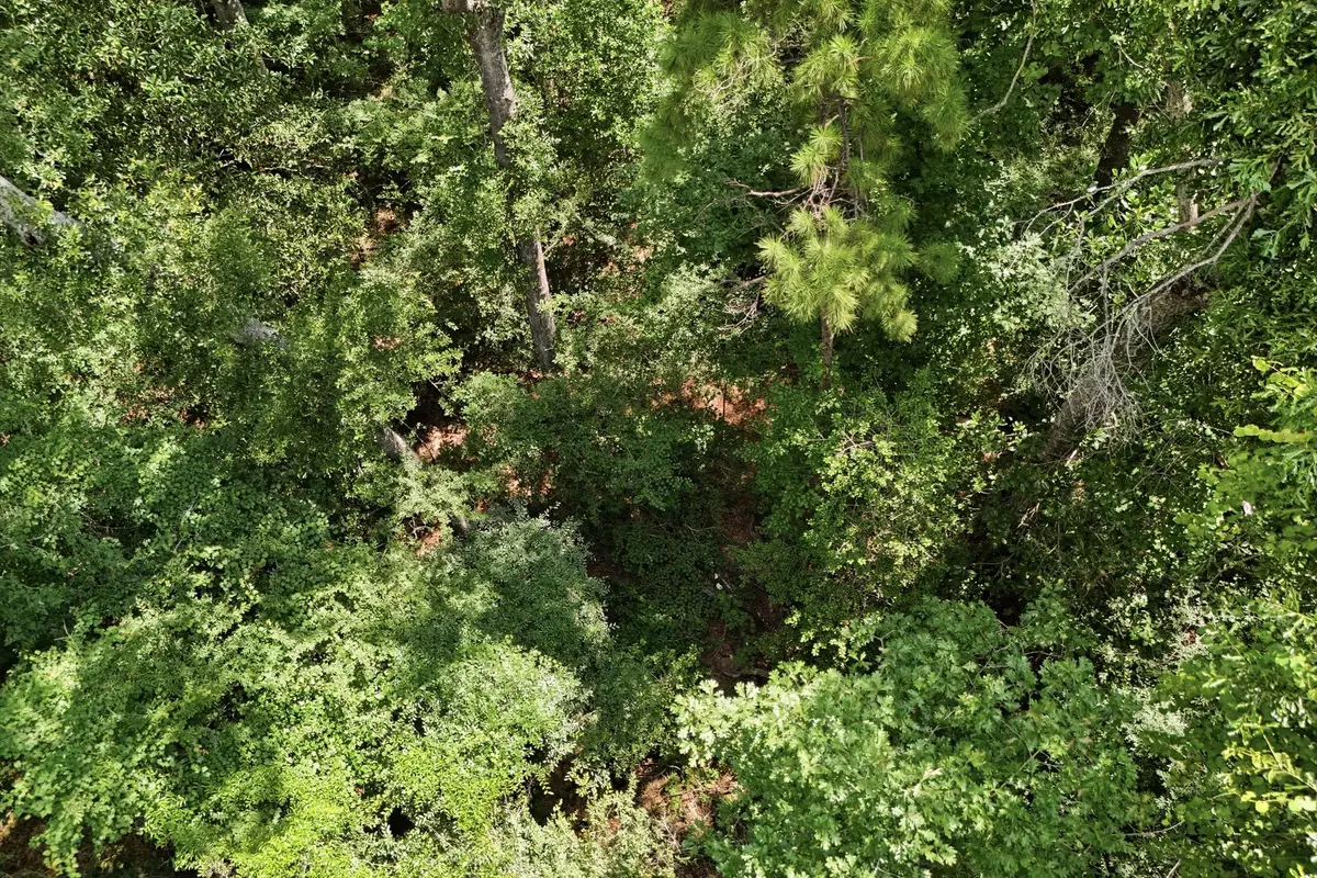 TBD Coleman Drive, Splendora, TX 77372 - #1
