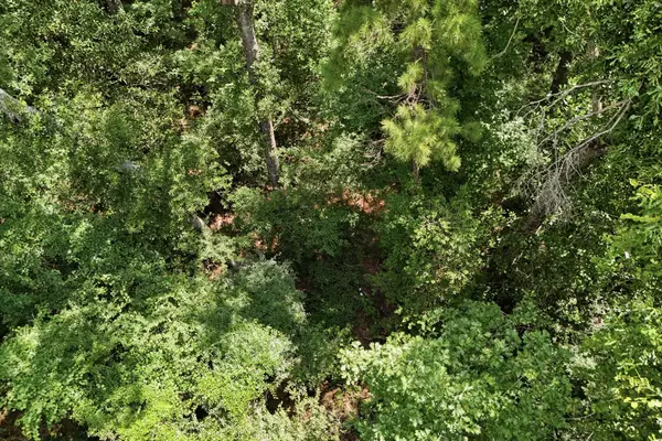 TBD Coleman Drive, Splendora, TX 77372