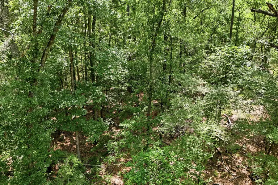 TBD Coleman Drive, Splendora, TX 77372 - #3