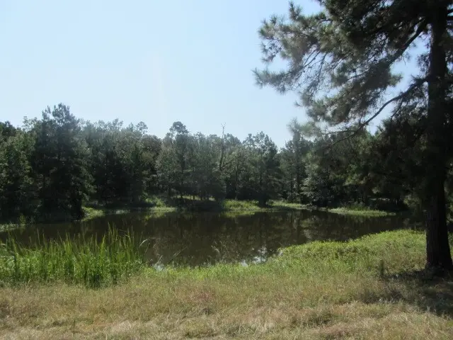 TBD Tx-19, Huntsville, TX 77320 - #1