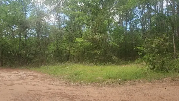 Lot 6 Thornwood Drive, Plantersville, TX 77363