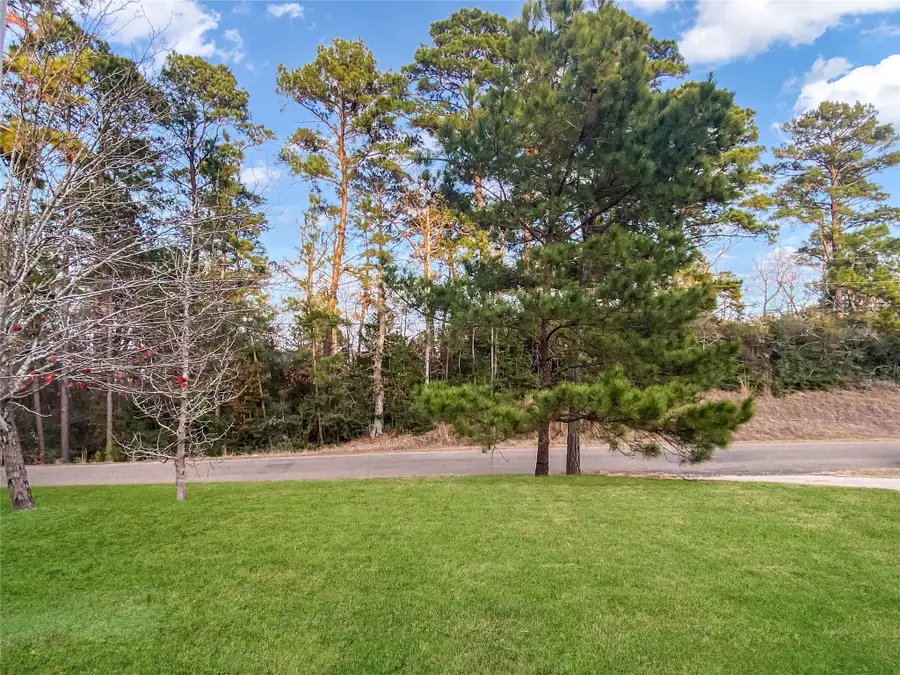 254 E Sunset Drive, Onalaska, TX 77360 - #3