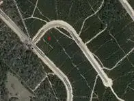 11816 Moss Grove Court, Willis, TX 77378