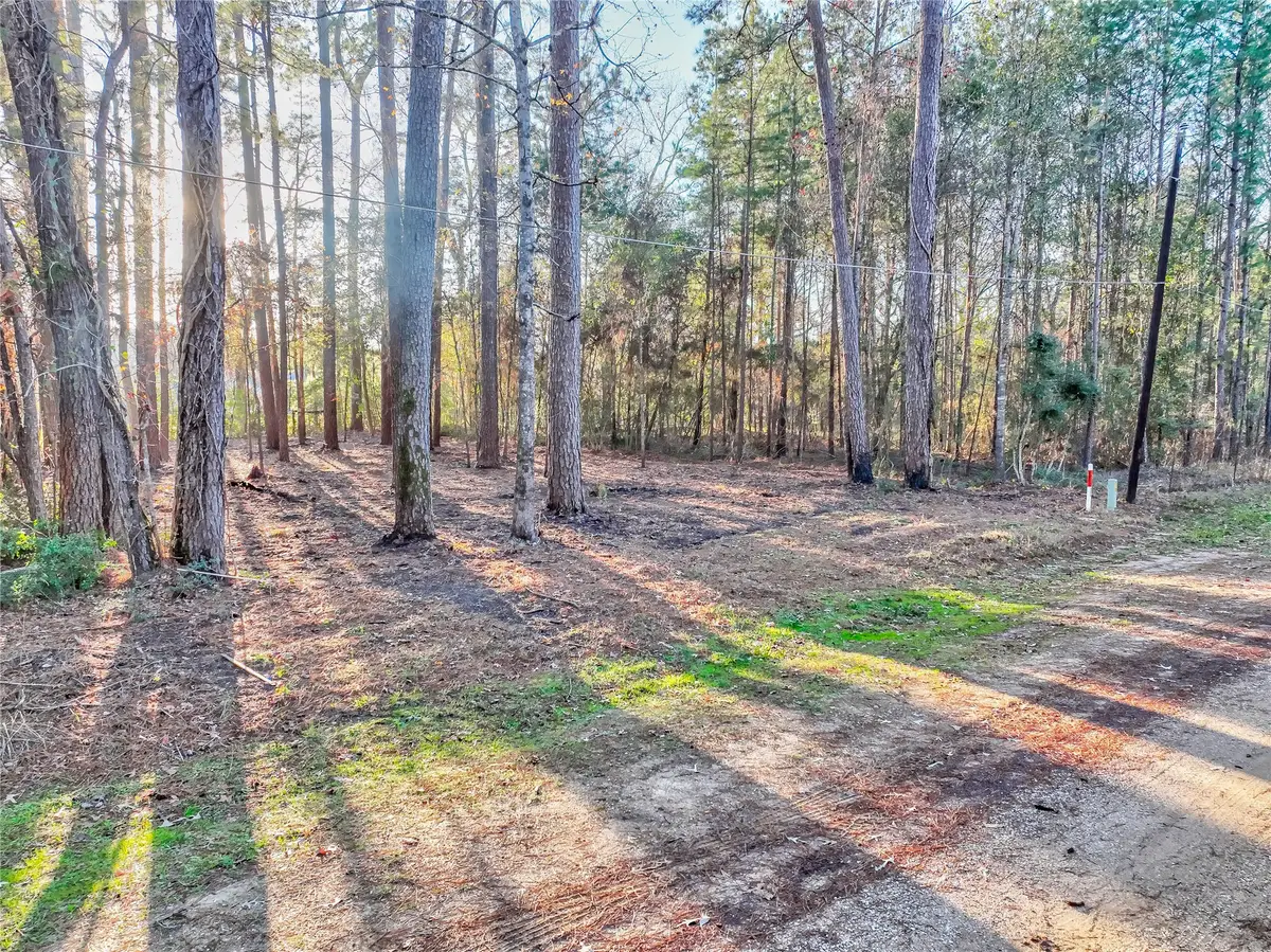 171 Pine Shadow Street, Coldspring, TX 77331 - #1