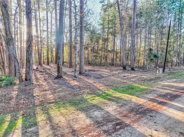 171 Pine Shadow Street, Coldspring, TX 77331