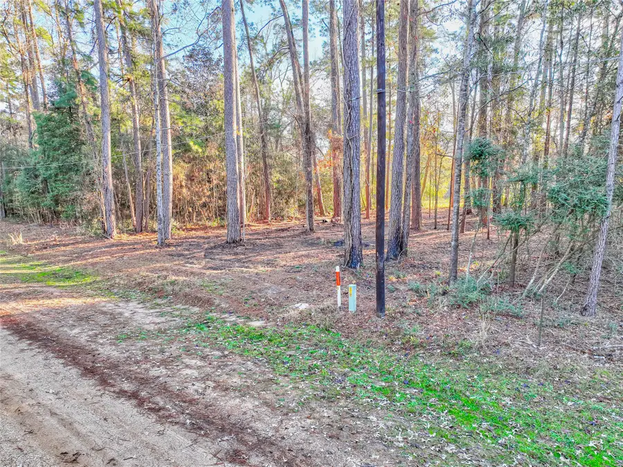 171 Pine Shadow Street, Coldspring, TX 77331 - #2