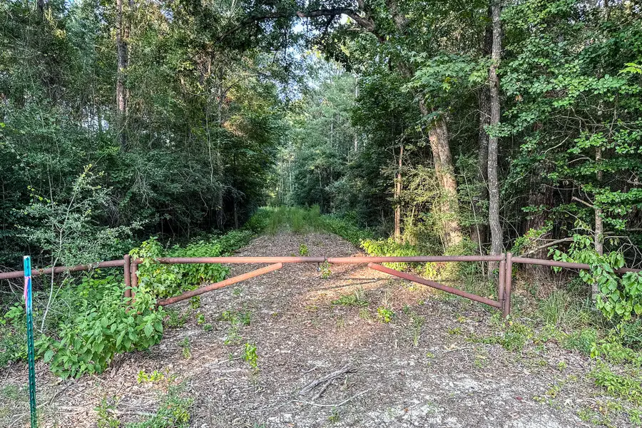 3 Acres Sky Oak Lane, Huntsville, TX 77340 - #3