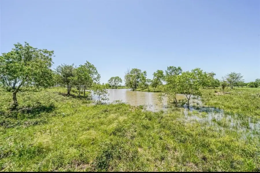 11811 Schmidt Road, Waller, TX 77484 - #2