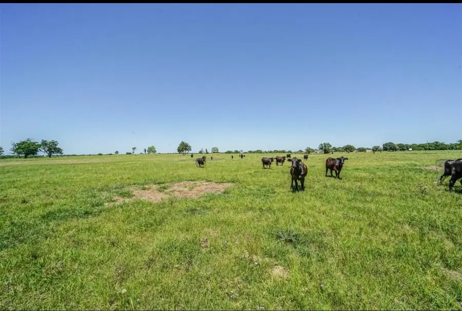 11811 Schmidt Road, Waller, TX 77484 - #3