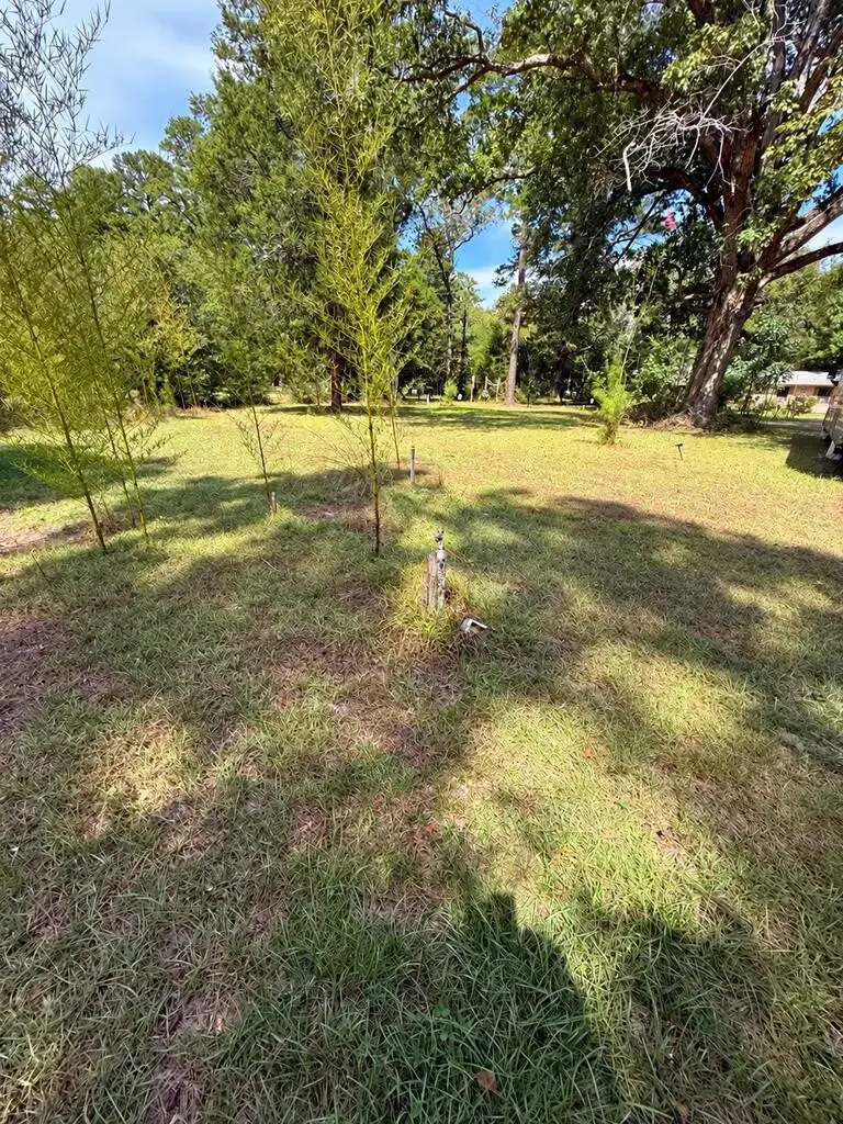 1156 County Road 2132, Burkeville, TX 75932 - #1