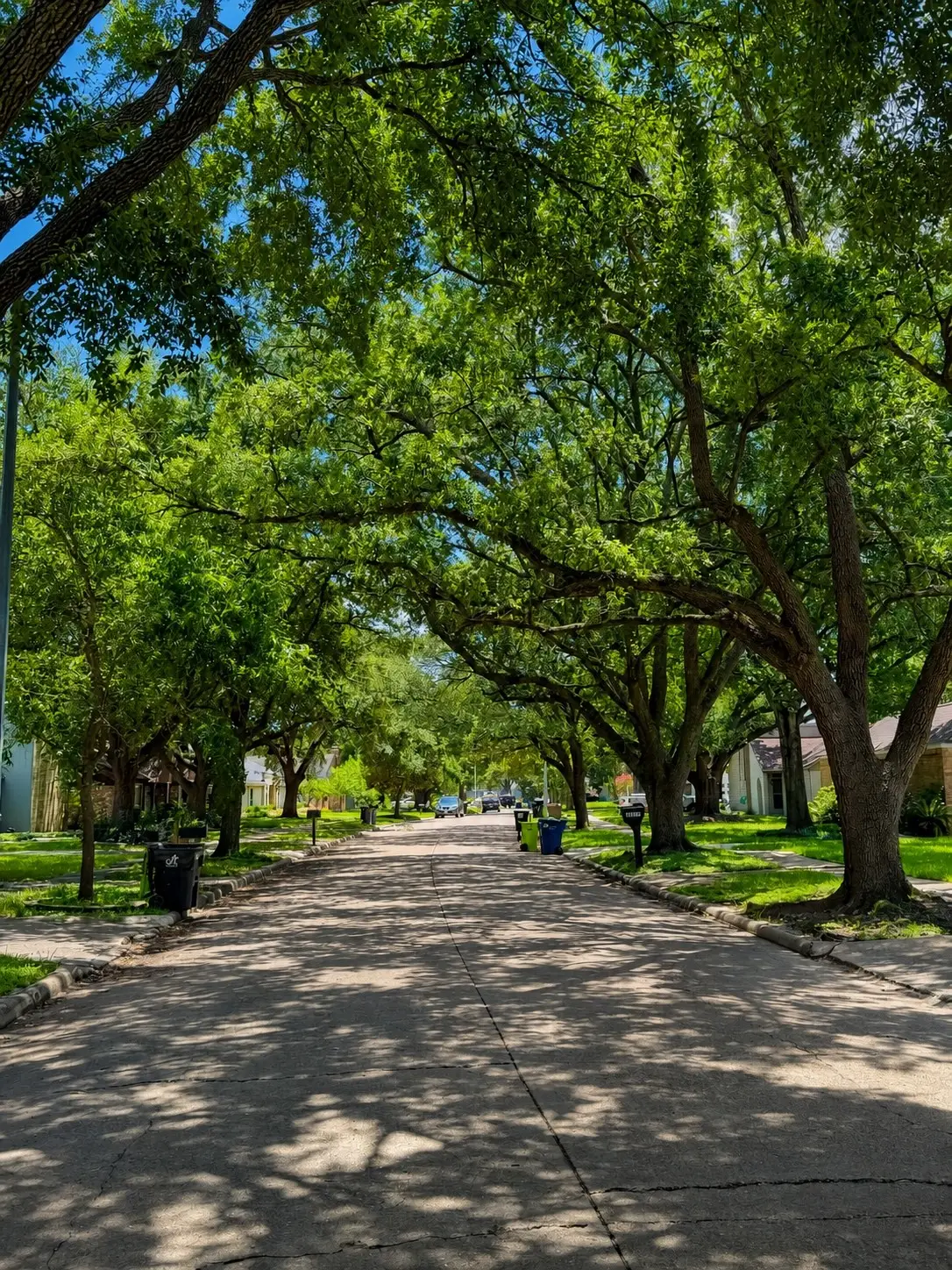 15818 Sandy Hill Drive, Houston, TX 77084 - #1