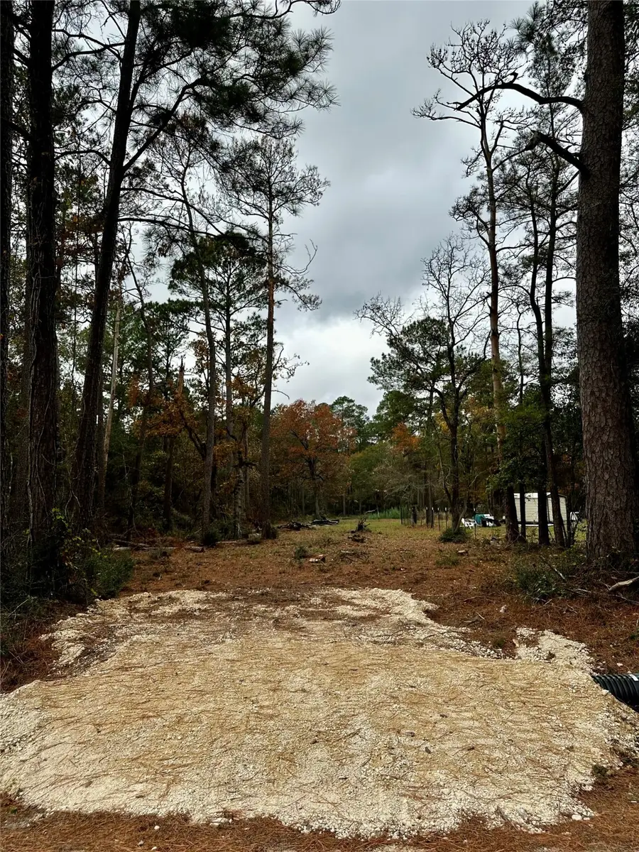 15172 Cherry Laurel Lane, Navasota, TX 77868 - Image #2