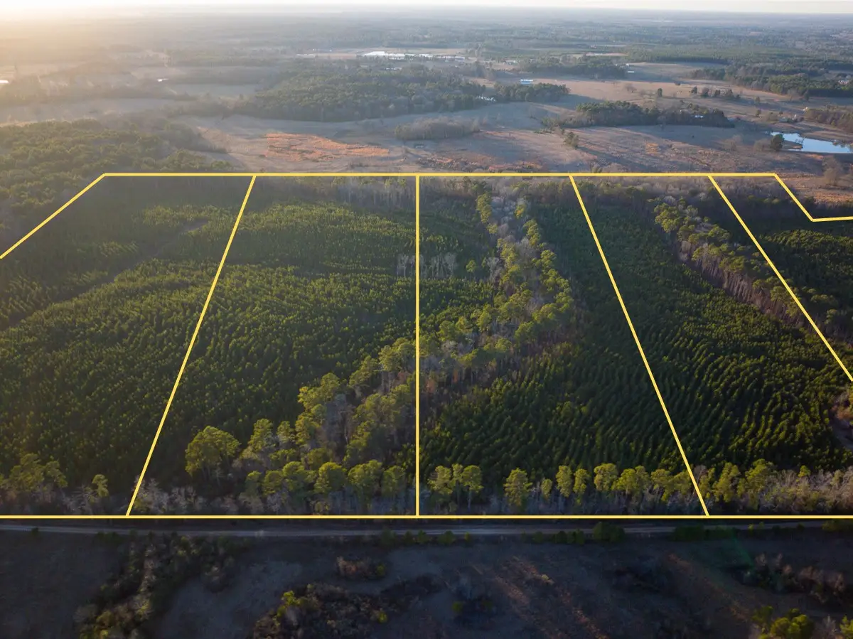 T-5 Cr 4415, Annona Avery, TX 75559 - #1