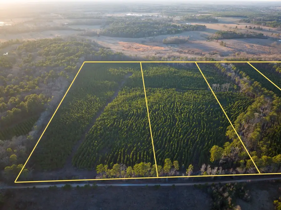 T-5 Cr 4415, Annona Avery, TX 75559 - #3