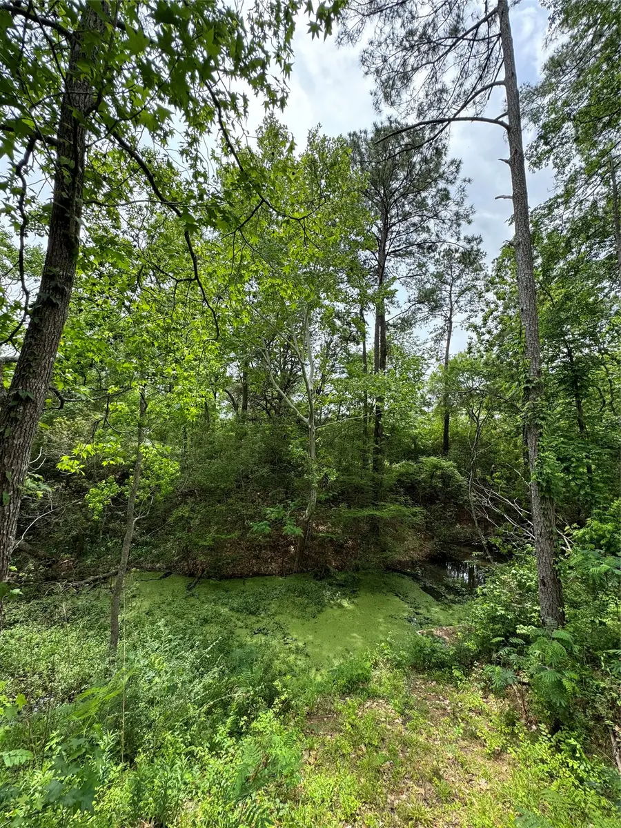 122 Barbil Lane, Huffman, TX 77336 - #3