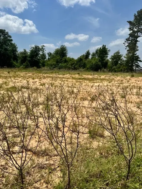 508 Road 5915 15, Cleveland, TX 77327