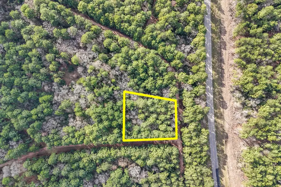 0 Hickory Bow Lane, Hempstead, TX 77445 - Image #3