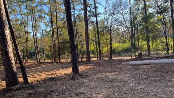 0 Monroe Drive, Livingston, TX 77351