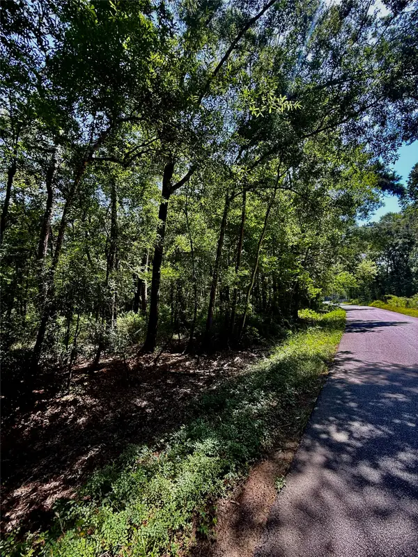 TBD Lot 4 Rolling Hills Drive, Porter, TX 77365