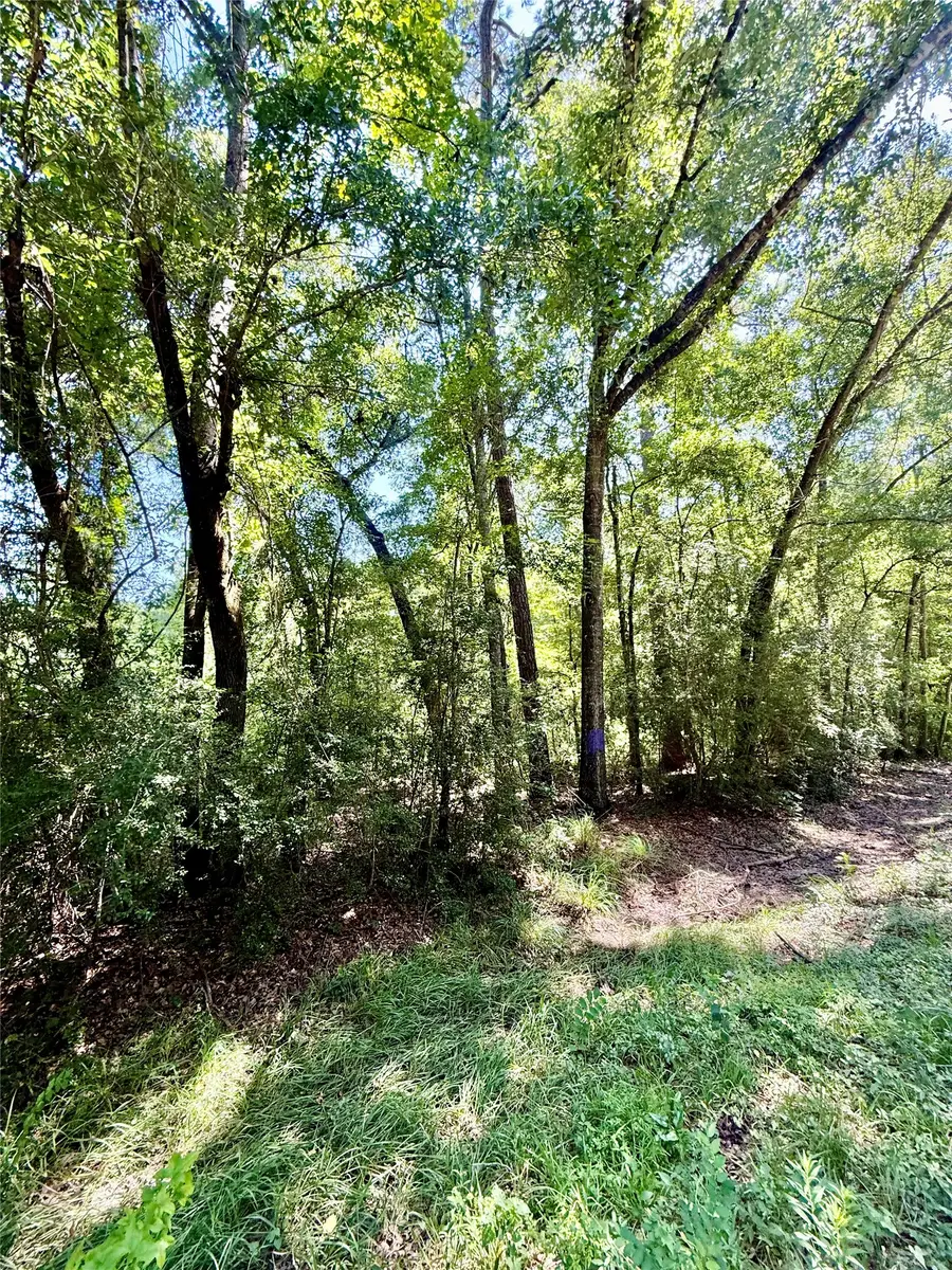 TBD Lot 4 Rolling Hills Drive, Porter, TX 77365 - #2