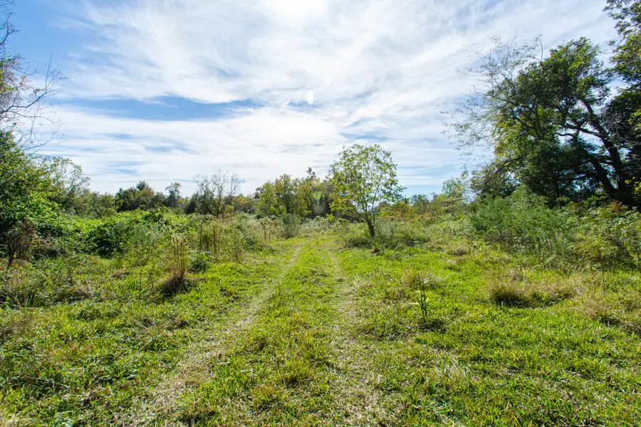 TBD Highway 36 75 Acres, Jones Creek, TX 77541 - #2