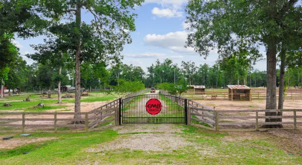 21286 Doru Drive, Cleveland, TX 77328