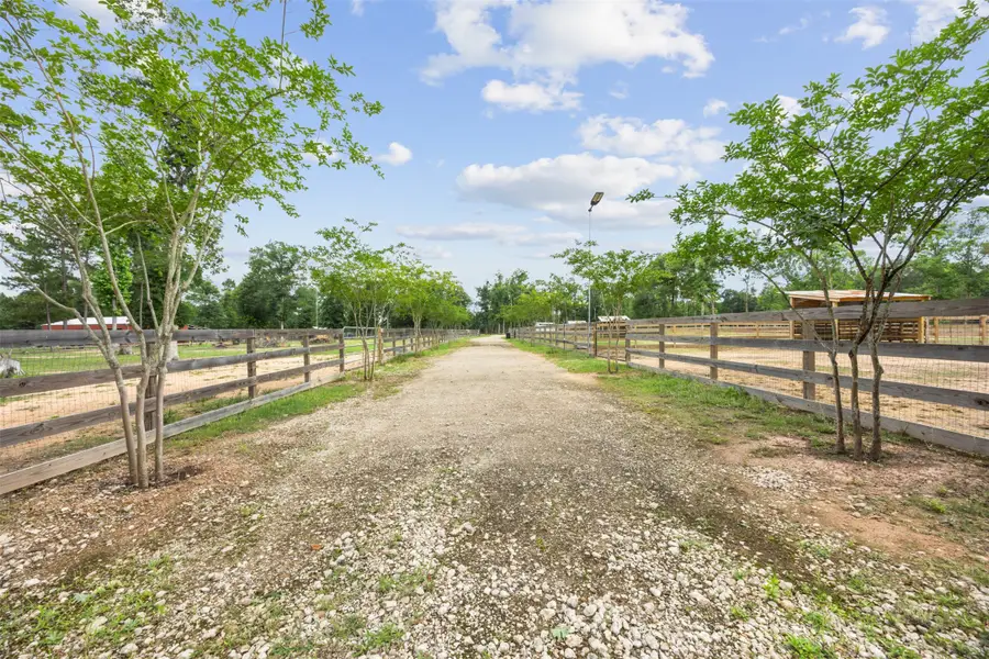 21286 Doru Drive, Cleveland, TX 77328 - #3
