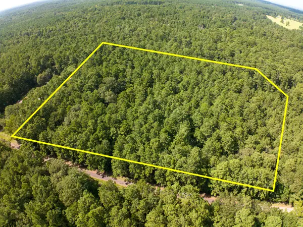 TBD Cotten Lane, Zavalla, TX 75980