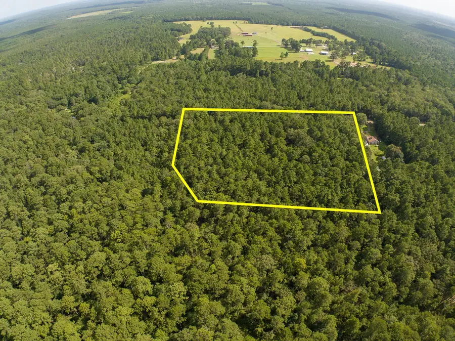 TBD Cotten Lane, Zavalla, TX 75980 - #2