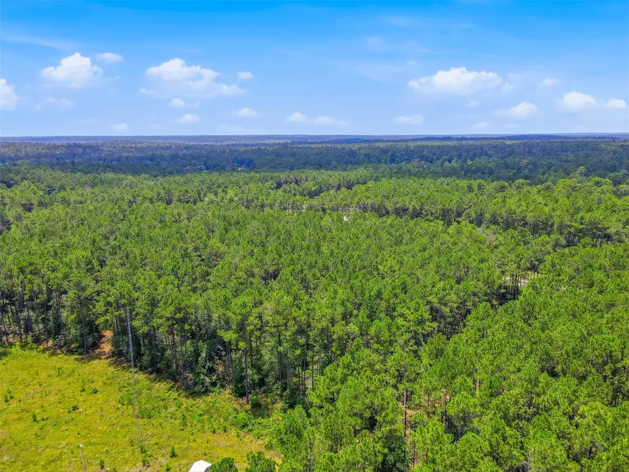 189 Branding Iron Road, Huntsville, TX 77340 - #3
