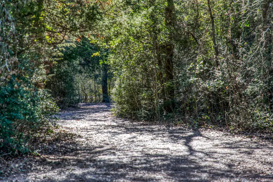 20984 Fm 1094, New Ulm, TX 78950 - Image #3