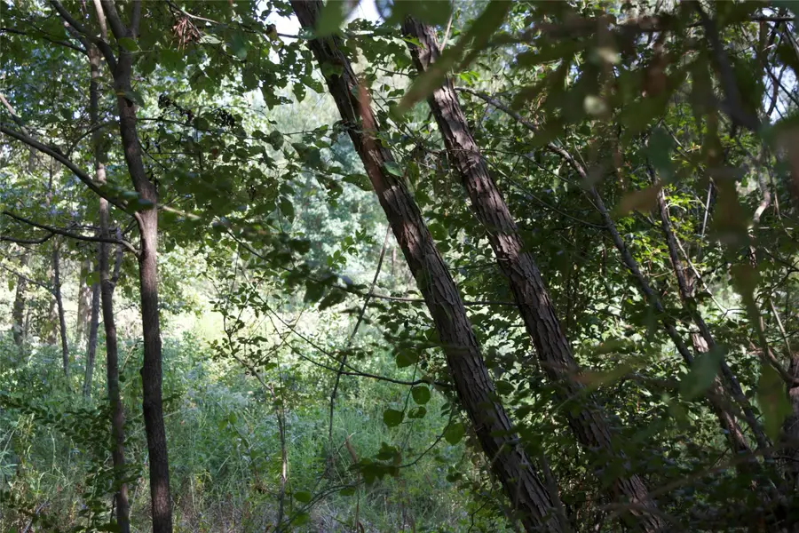 3109 Jan Road, Omaha, TX 75571 - #3