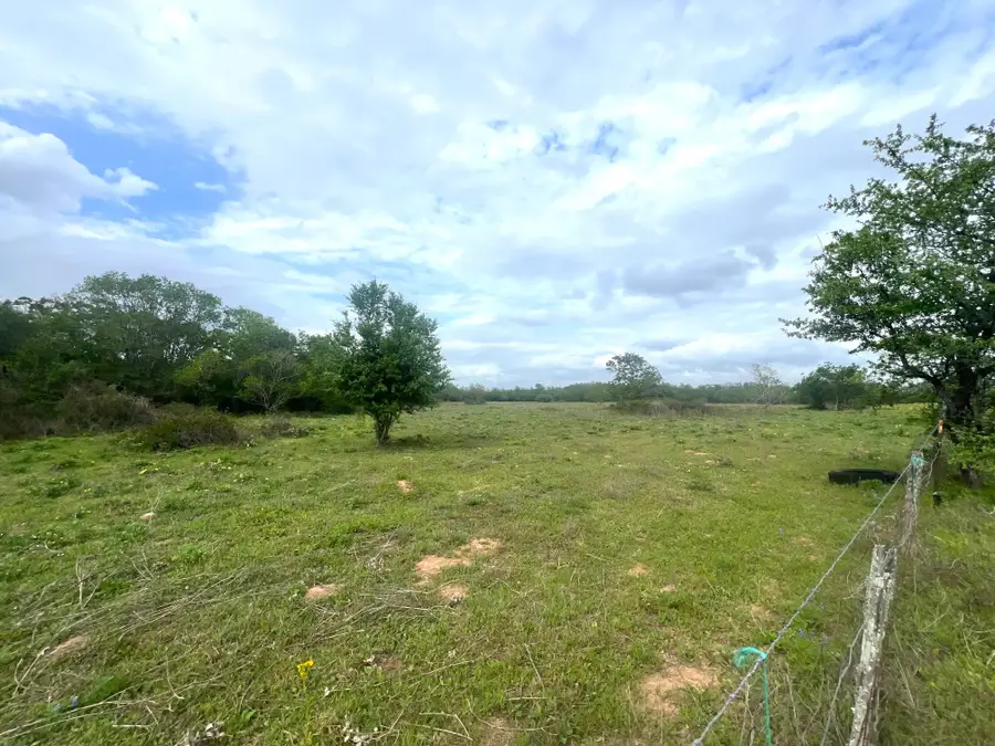 1900 Hluchan, Sealy, TX 77474 - #3