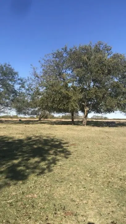 0 Lcr 300, Mart, TX 76664 - #1
