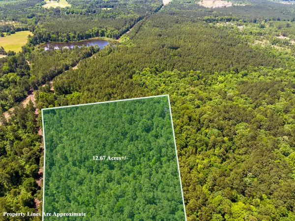 1 County Road 1115, Atlanta, TX 75551