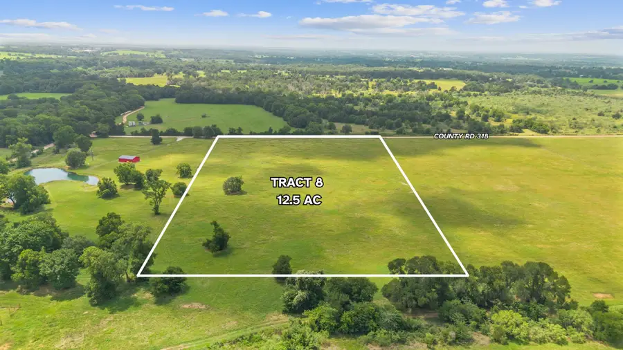 Tract 8 County Road 318, Caldwell, TX 77836 - #2