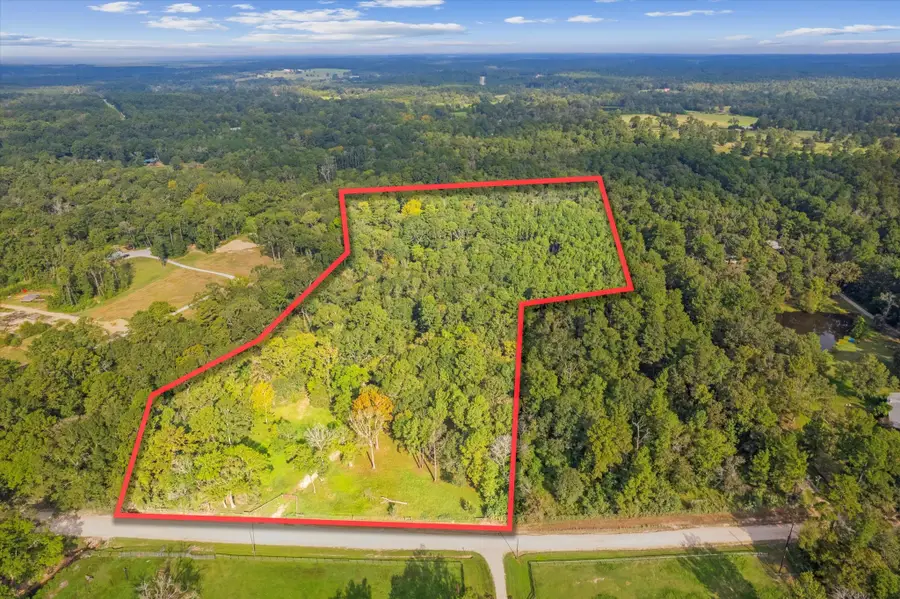 43 Stewart Road, New Waverly, TX 77358 - #3