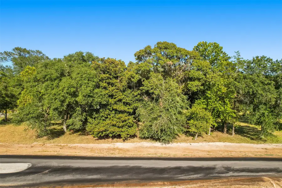 2413 Lonely Creek Circle, Montgomery, TX 77316 - #2