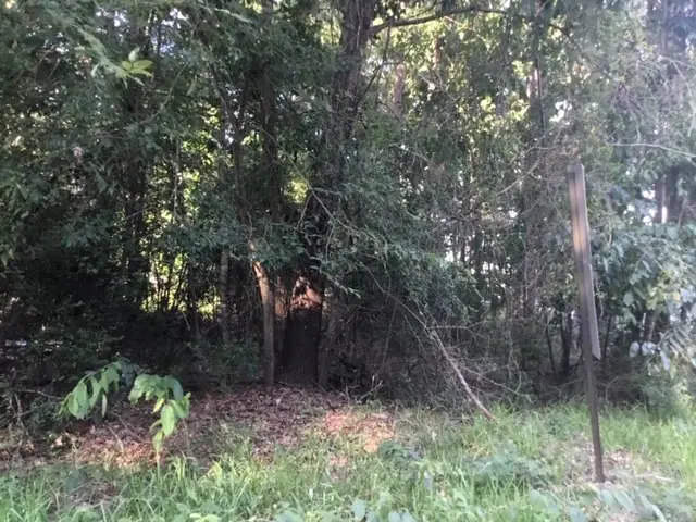 000 Water Tower, Onalaska, TX 77360 - Image #2