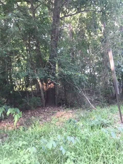 000 Water Tower, Onalaska, TX 77360 - Image #3