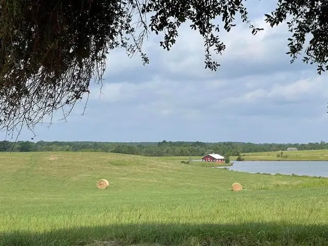 Lot 82 Lakeland Loop, Hillister, TX 77624 - Image #3