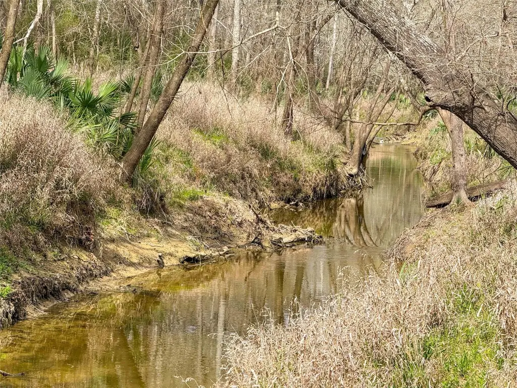 TBD County Rd 4876, Dayton, TX 77535 - #1