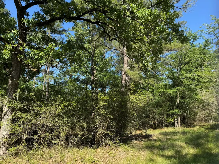 15 Wood Harbor, Trinity, TX 75862 - #3