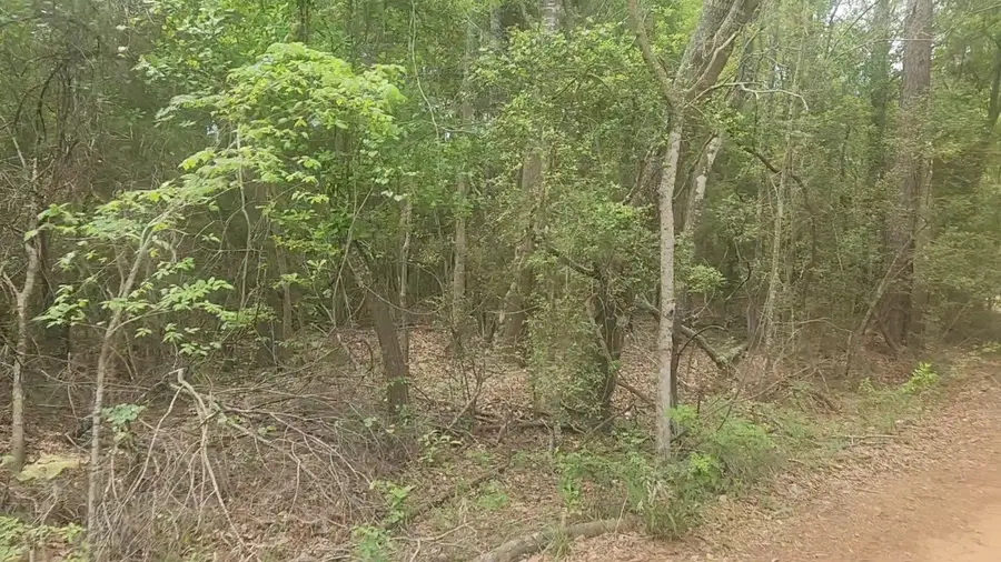 Lot 1 Thornwood Drive, Plantersville, TX 77363 - #2