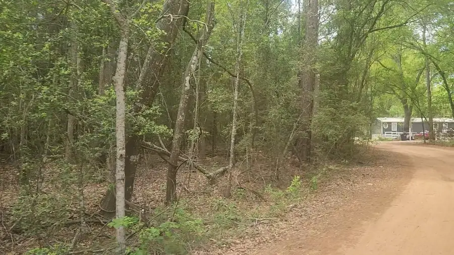 Lot 1 Thornwood Drive, Plantersville, TX 77363 - #3