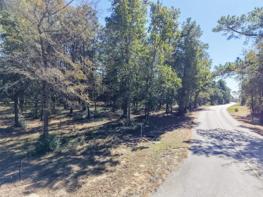 0 Little Egypt Road, Conroe, TX 77304 - Image #3