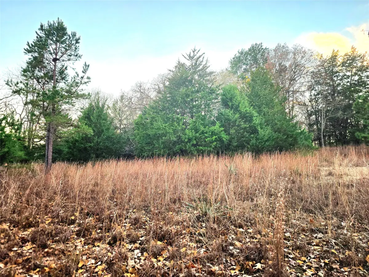 0 Mallard Way, Larue, TX 75770 - Image #1