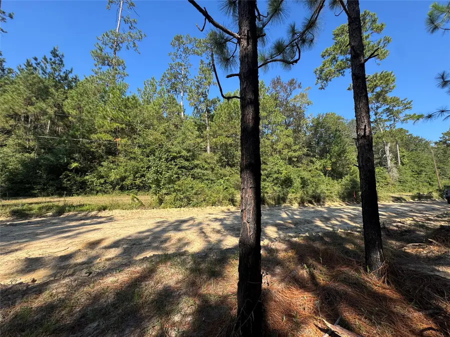 3072 & 3075 Cr, Kirbyville, TX 75956 - #2